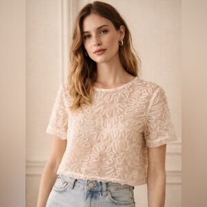 Vero Moda Sheer Appliqué Mesh Cropped Top Cream L NWT | Wardrobe Set